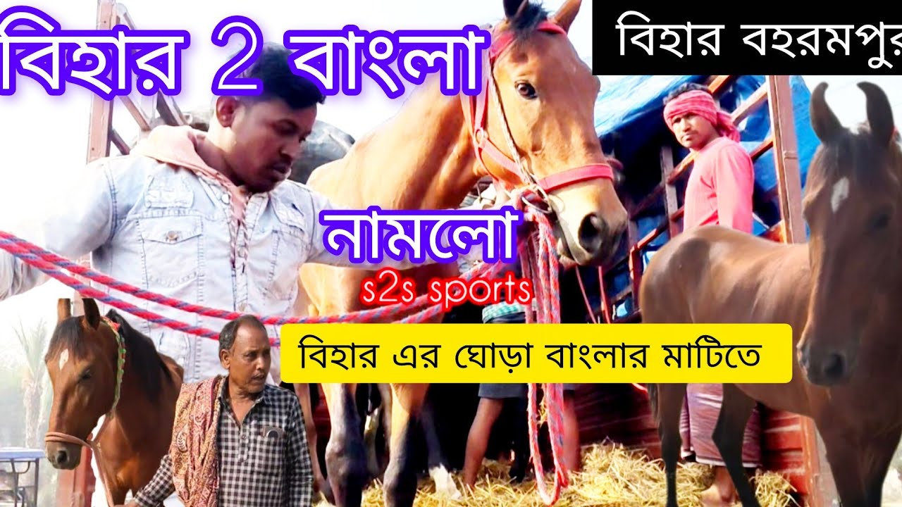 বিহার বহরমপুর ঘোড়া বাংলার মাটিতে নামলো 