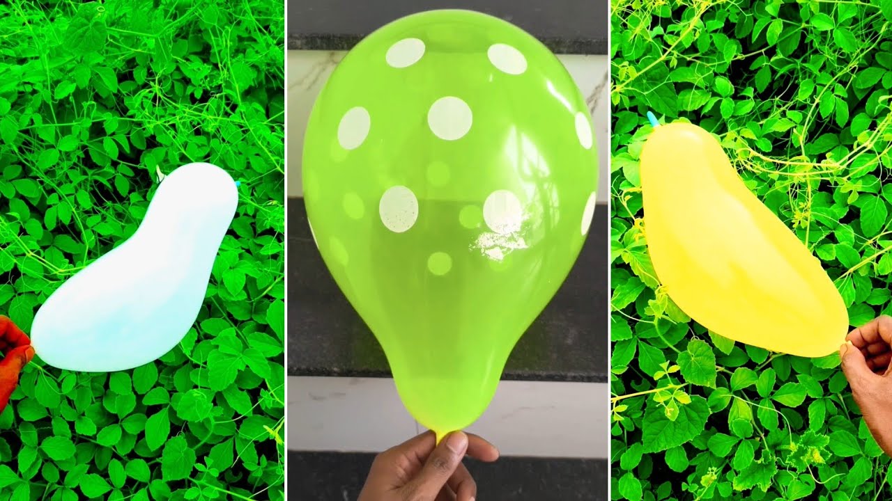 ASMR | Multicolour Balloon #Balloon #ASMR #MubaraksSMR