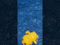 water fun #shorts #tiktok #satisfying #toys