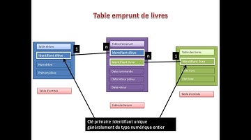 base les tables et les relations
