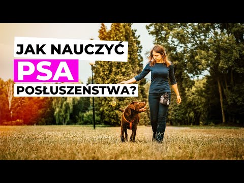 Wideo: Jakie są korzyści z posłuszeństwa?