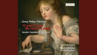 Overture (Suite) in C Major, TWV 55:C2: I. Ouverture