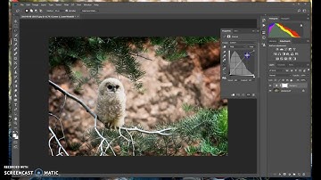 Creating a LOMO effect in Photoshop 2018