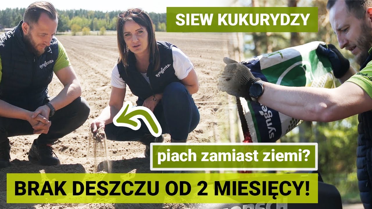 maxresdefault HORSCH Maestro RX – siew kukurydzy w suszy z firmą Syngenta   VIDEO