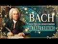 The Best of Bach - Classical Music for Studying, Brain Power