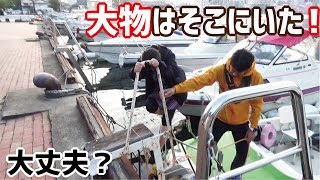 船着場付近からすぐそこに出て落ちても釣れる初の大型魚！！！