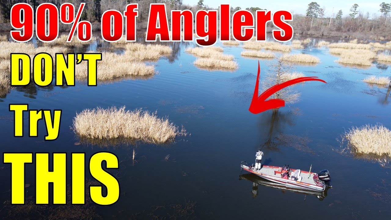 Overlooked Fishing Technique For Shallow Water Bass