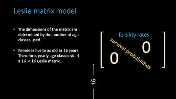 Video abstract of Aggregation of Leslie matrix models with application to ten diverse animal species