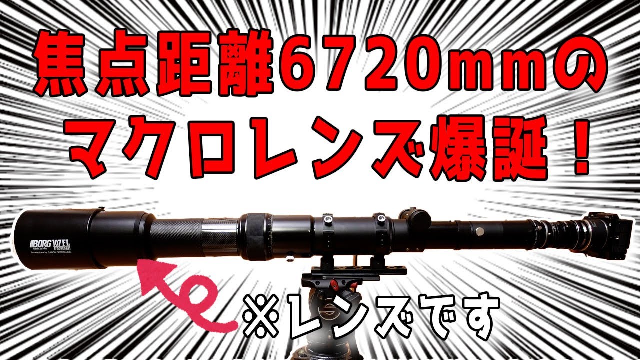 最強】等倍なんて遠すぎる！焦点距離6720mmのマクロレンズ爆誕！撮影し