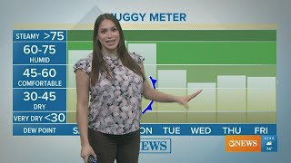 Saturday forecast includes mostly sunny skies and a humid and warm afternoon