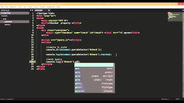 jQuery javaScript   check input checkbox property with prop method 720p