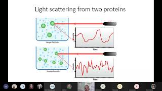 Dynamic Light Scattering: Basics, Rules, and Applications in Food Science