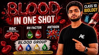 Class 10 Blood Group One Shot in 15 Mint | Rh Factor, Antigen, Universal Donor & Recipient Full Vdo