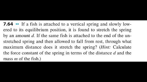 If a fish is attached to a vertical spring and slowly lowered to its equilibrium position, it is fou