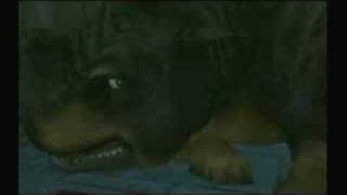 Trailer Videogame Harry Potter Sorcerers Stone