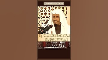 سورة الزمر الاية رقم 29 “ضرب الله مثلاً رجلً فيه شركاء متشاكسون”