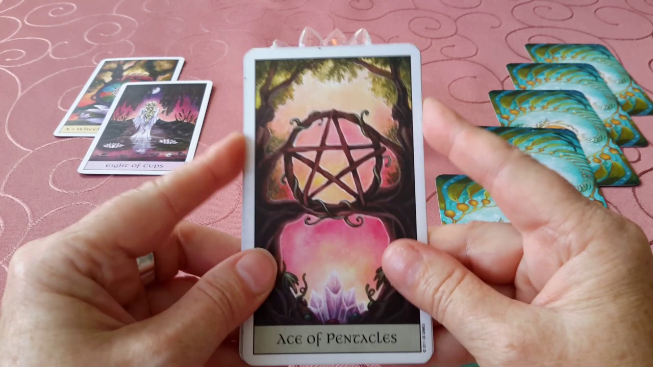 🏵 Entscheidungsorakel 💌🌹