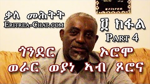 Eritrean Interview About Werar Weyane in Tzorona - Protest of Oromo and Amhara in Ethiopia - Part 4