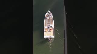Launch
