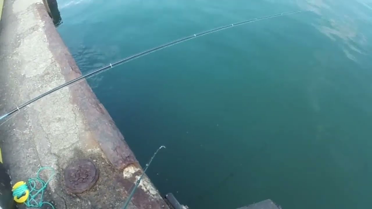 際探り釣り【カサゴ狙い】江尻埠頭　釣れますか⁈