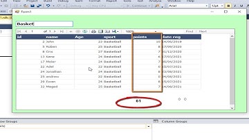 Programming in Visual Basic Net How to Sum Field  in footer report rdlc