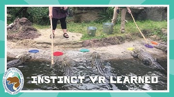 Instinct vs Learned Behaviors