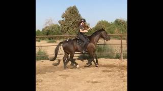 Pop Goes the Weasel, performed by Donna and Hans
