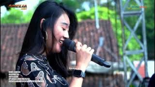 Download lagu NEMEN - IMA VERONICA | AMELIA MUSIC LIVE SUMBER SONEYAN