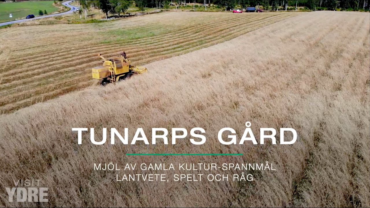 Tunarps Gård i Ydre | Mjöl av gamla kultur-spannmål - Lantvete, Spelt & Råg