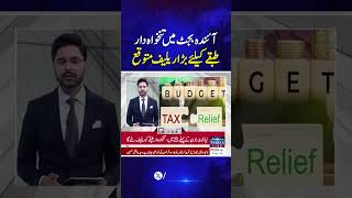 Major Relief Expected for Salaried Class in Upcoming Budget | Economy Matters