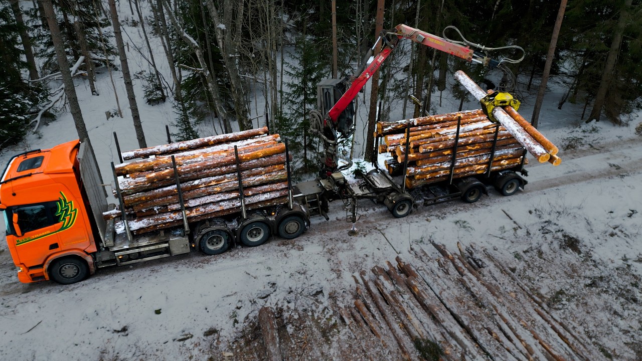 Loading timber on an island