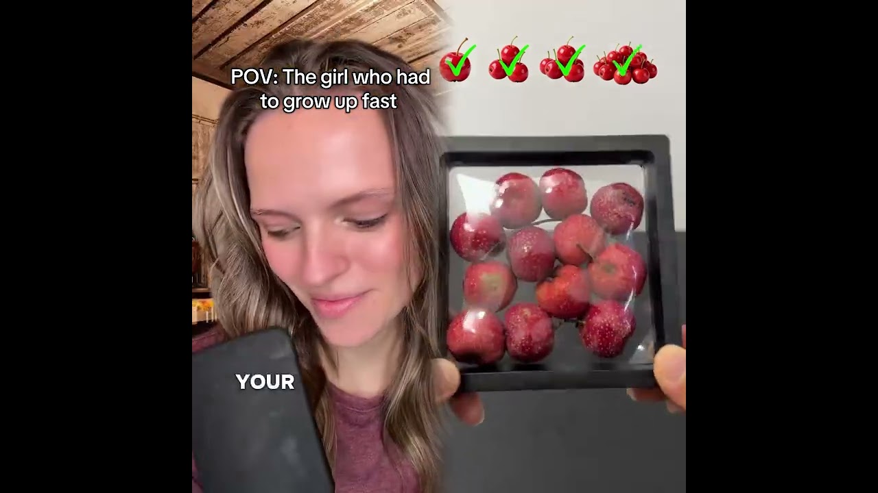 #minecraftsurvivalseries100days