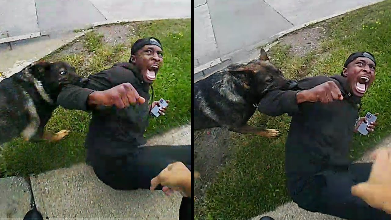 The Moment He Faced the Consequences of Attacking a Police Car