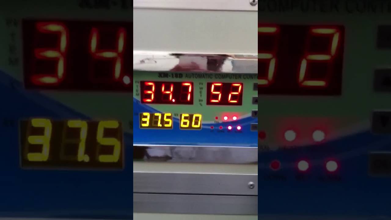 ضبط الحراره والرطوبه والتقليب للفقاسات الصينيه