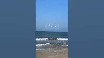 #المصحف #بسم_الله_الرحمن_الرحيم #القرآن_الكريم #راحة_نفسية #اكسبلور #لايك #سورة_البقرة #حالات_واتس