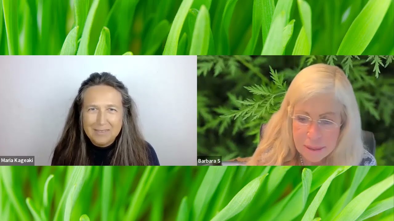 Artemisia Annua Spezial mit Barbara Simonsohn