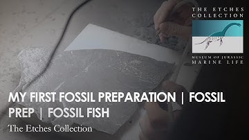 MY FIRST FOSSIL PREPARATION | FOSSIL PREP | FOSSIL FISH