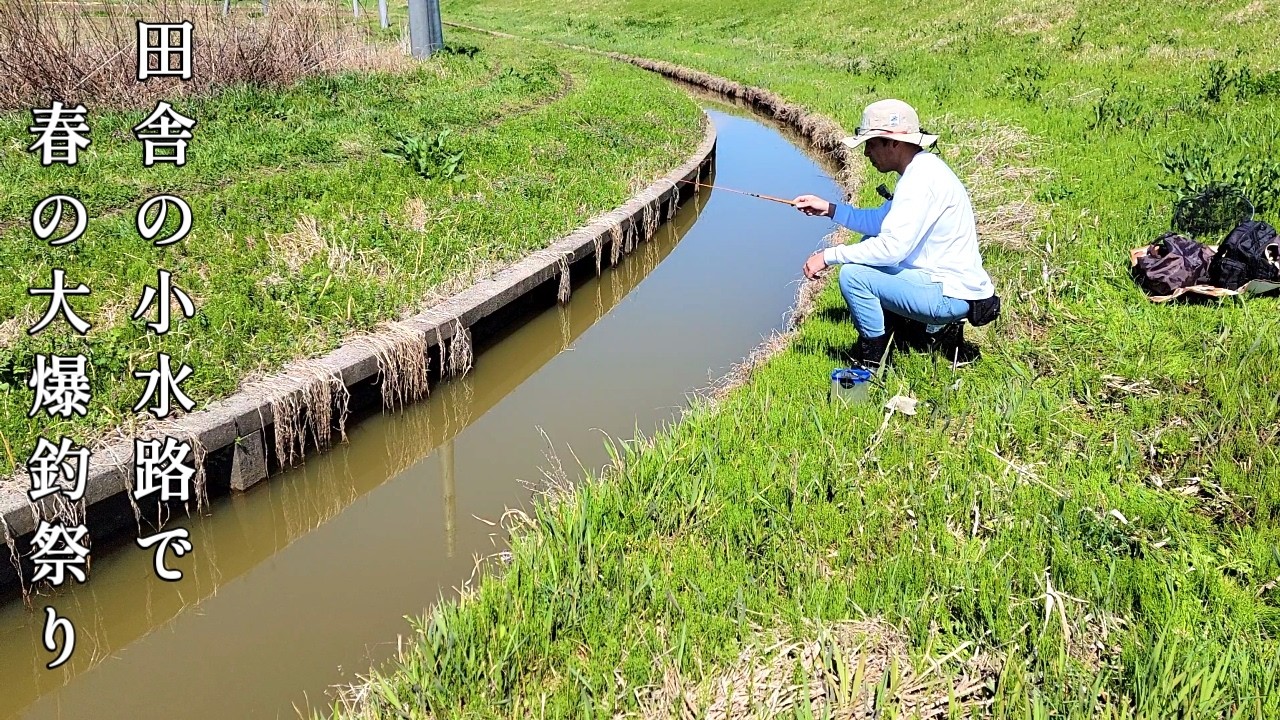 地元釣り人ですら竿を出さない小水路で驚きの大爆釣。これが春の田舎の釣り遊び。