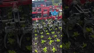 Weeding Robot Iselect By K.u.l.t Usa With Robot Tractor Agbot By Agxeed Netherlands || #Shorts