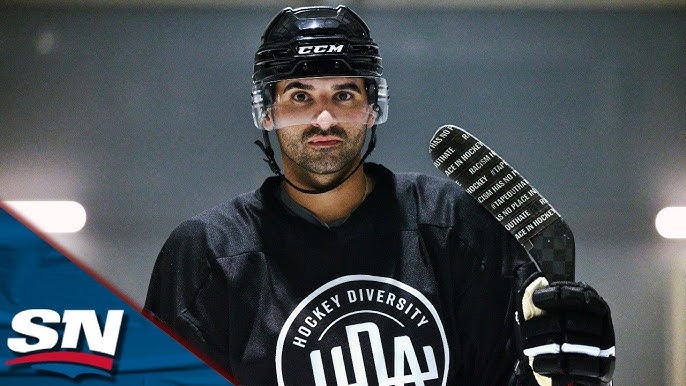 Hockey Diversity Alliance formed by seven current, former NHL players - New  York, New York - Hometown Hockey