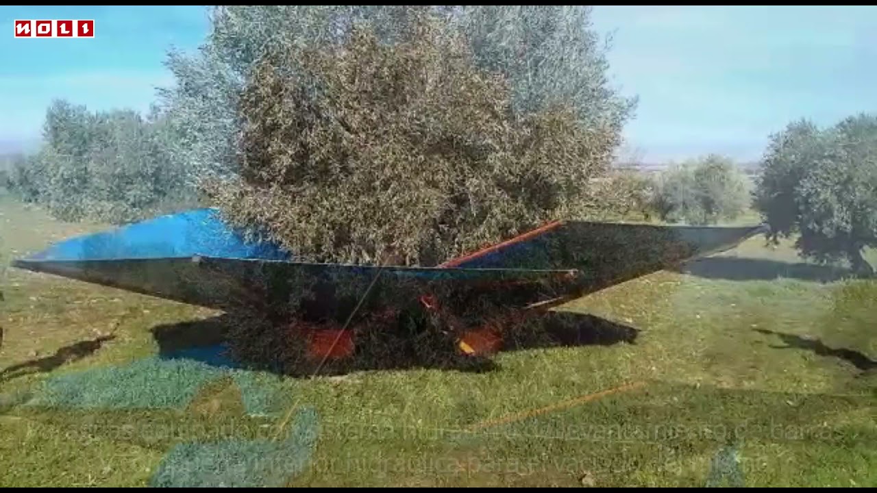 Vibradora Noli VFHEG con Paraguas PAG