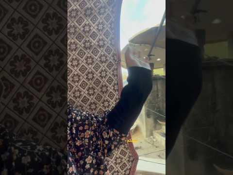 #اكسبلور #يوميات_غزة #غزة #السعودية_الكويت_الامارات_قطر_عمان_البحرين