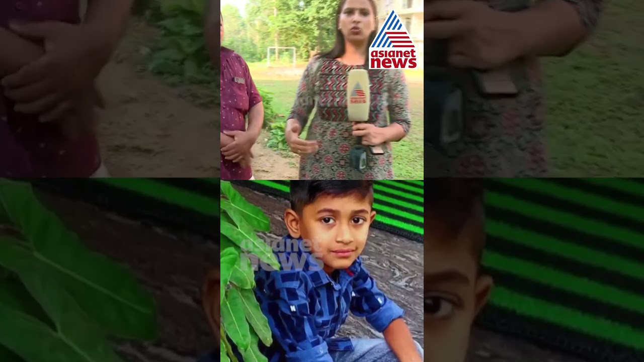 മരവും വൈദ്യുതി പോസ്റ്റും കടപുഴകി വീണ് പത്ത് വയസ്സുകാരന് ദാരുണാന്ത്യം