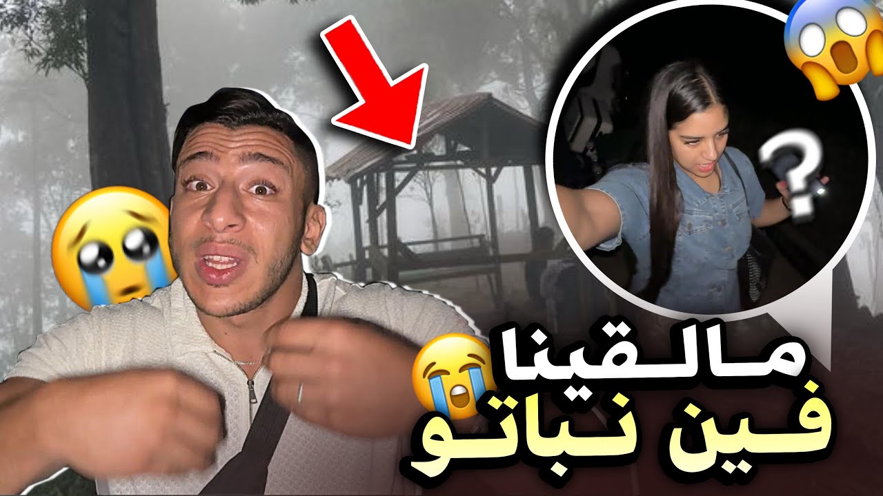 مالقيناش فين نباتو! شنو وقع لينا😭اكبر شمس لعشية🤦🏻‍♀️