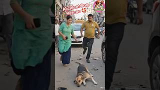 LIVE 🔴 Road Accident #helping #injurd #dog #shorts #video
