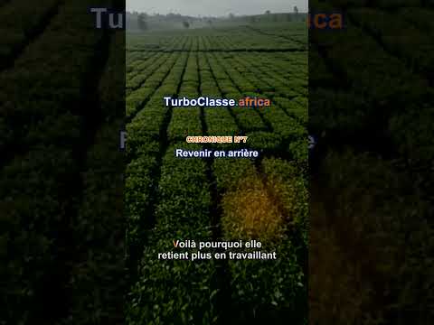 TurboClasse — Pourquoi tu oublies tout (et comment retenir)