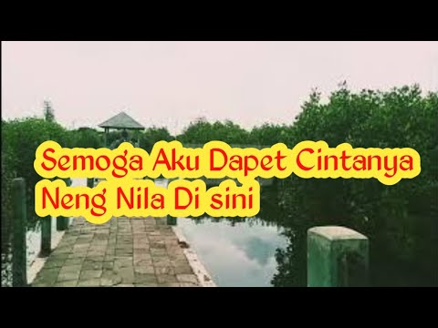 Di Sini Aku Mencari Cintanya Neng Nila