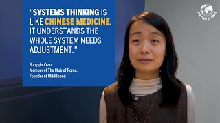 Songqiao Yao: Why systems thinking is like Chinese medicine