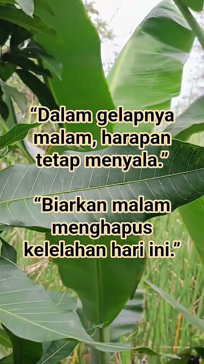 Kata Kata Bijak Untuk Renungan Malam Hari Ini Penuh Motivasi