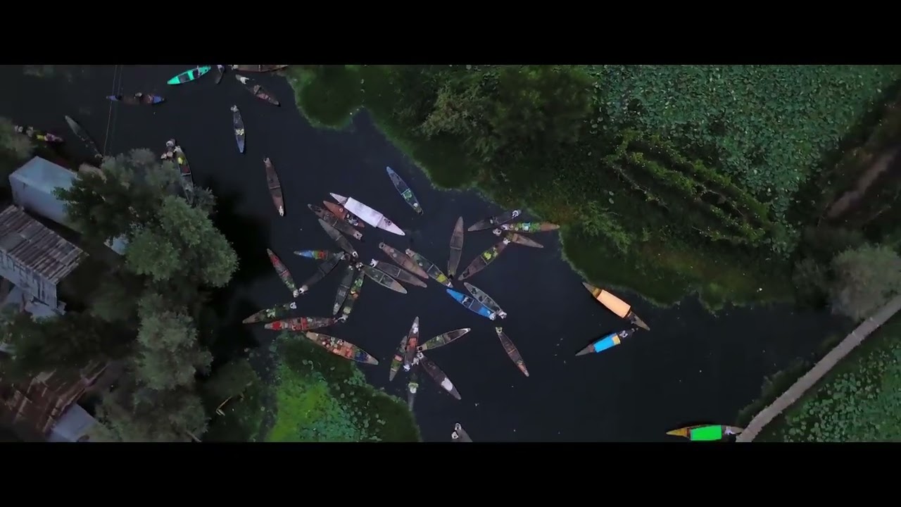 Paul Prokop - Story Writes Itself Part 2